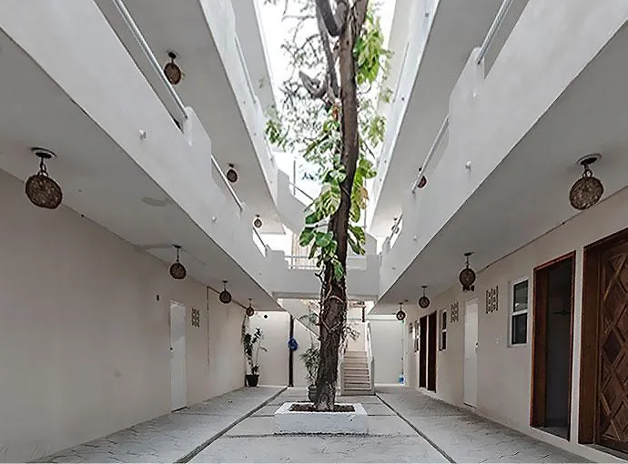 ***  Ahava Hotel Playa del Carmen Mexico