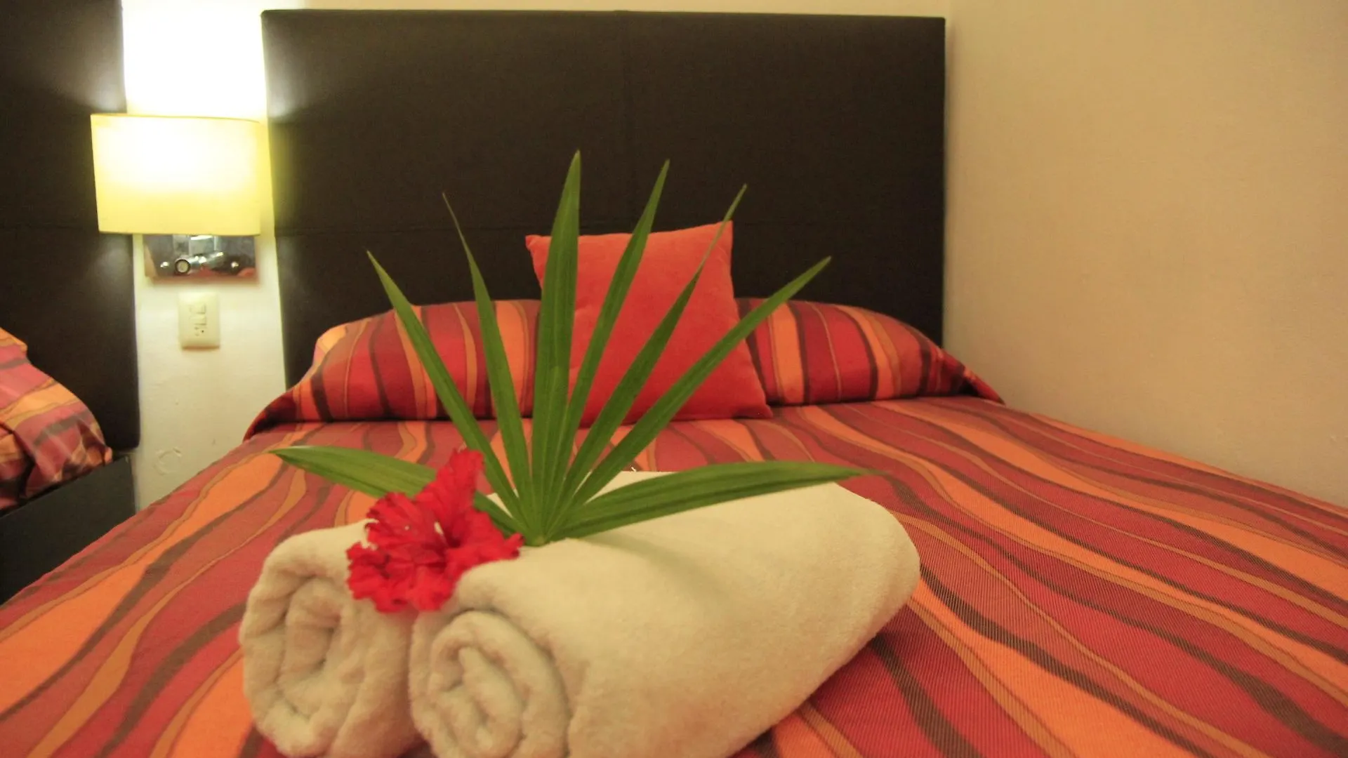 Ahava Hotel 普拉亚卡门